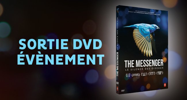actu sortie dvd 650