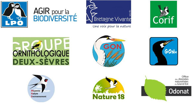 logos partenaires