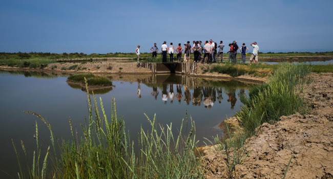 Réserve naturelle nationale de Moëze-Oléron - Crédit photo : LPO