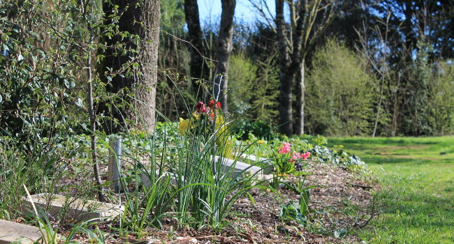 Cimetière de Souché – Crédit photo : K. Broquereau