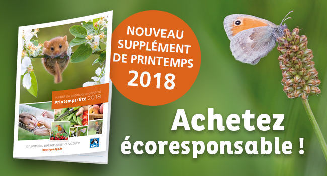 image actu catalogueprintemps2018