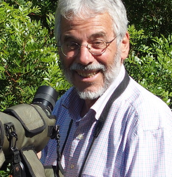 patrice cramm 350