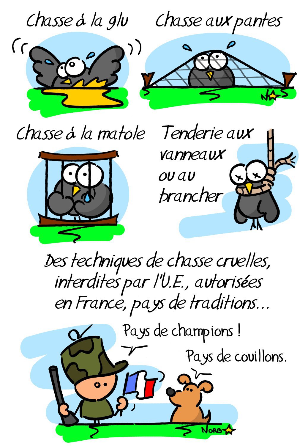 illustrations piegeage par norb