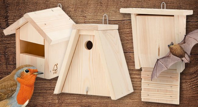 Les nichoirs en kit a construire soi-même
