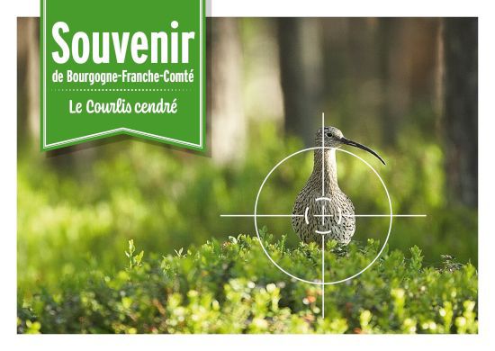 cartepostale bourgogne franche comte 1 550