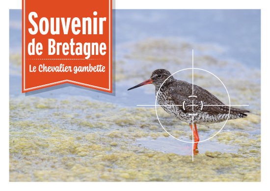 cartepostale bretagne 1 550
