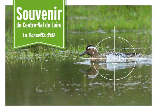cartepostale centre val de loire 1 550