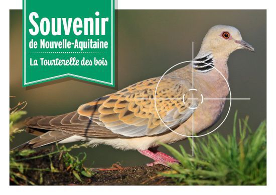 cartepostale nouvelle aquitaine 1 550