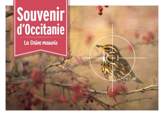 cartepostale occitanie 1 550