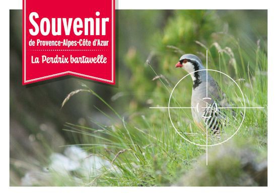 cartepostale provence alpes cote dazur 1 550