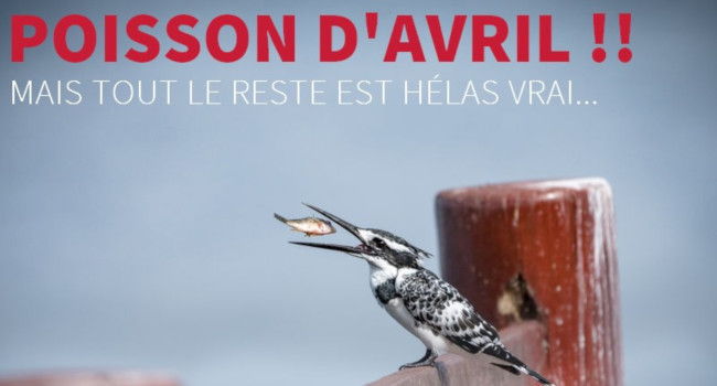 lpo poisson davril 650