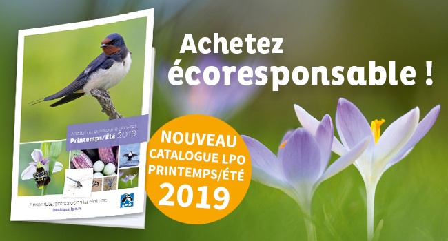 Catalogue LPO - Édition printemps/été 2019