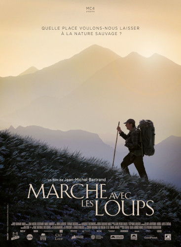 marche avec les loups affiche 500