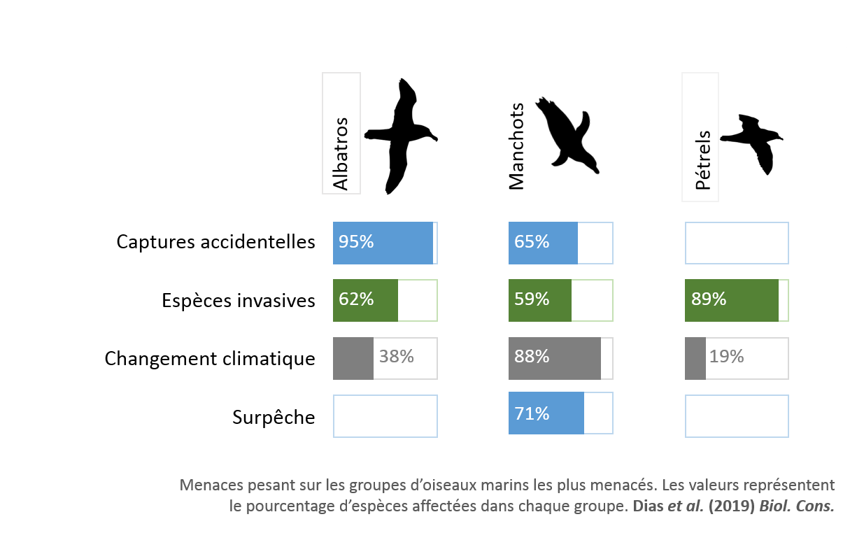 menaces pesant sur les groupes doiseaux marins les plus menaces