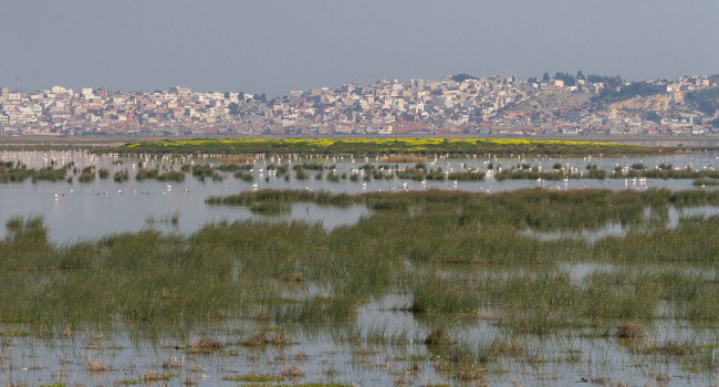 sebkhet sejoumi c hichem azafzaf 650x350 4