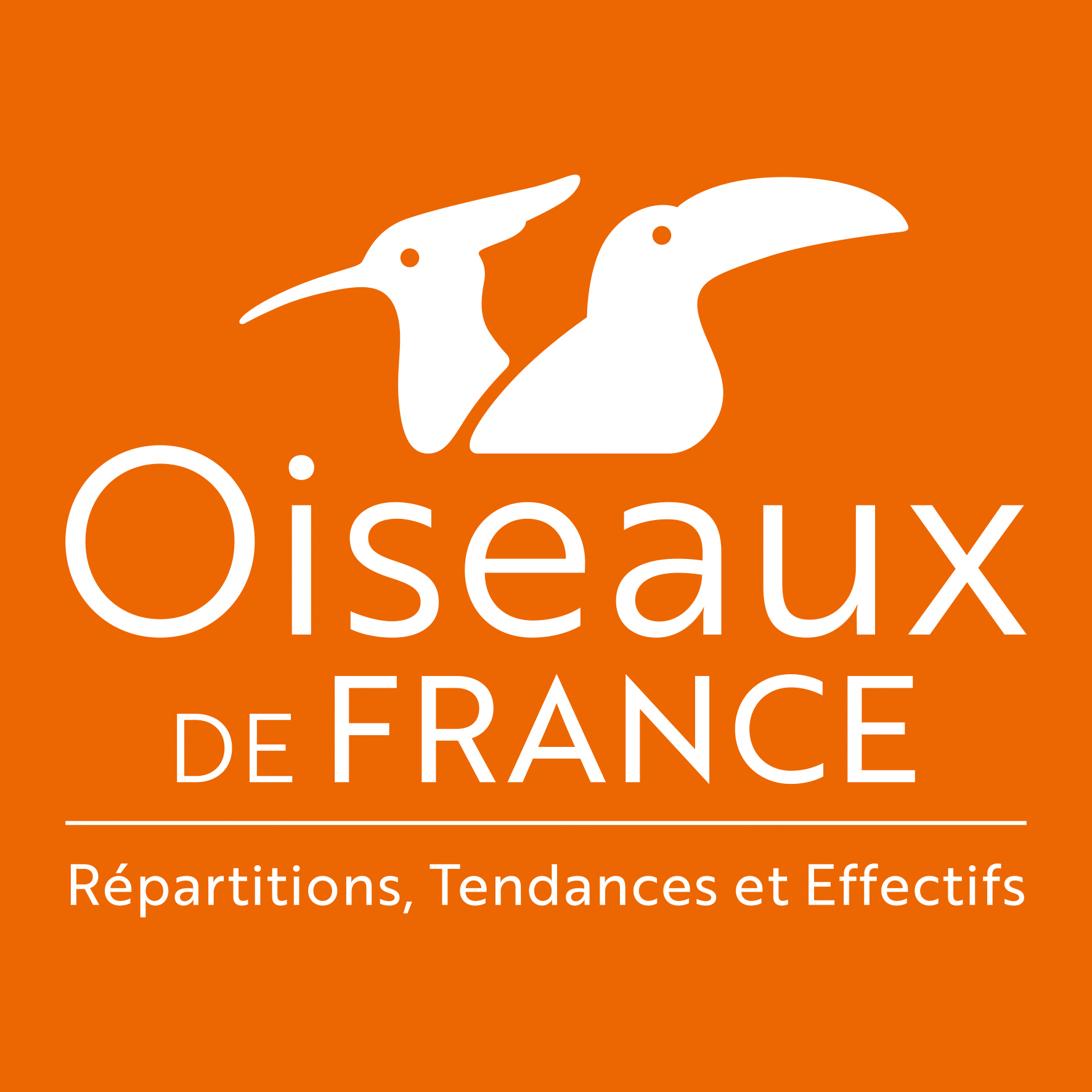 logo oiseauxdefrance bloc