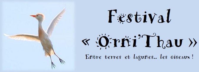 festival ornithau