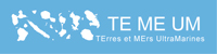 2011_Logo-TEMEUM-HD_200