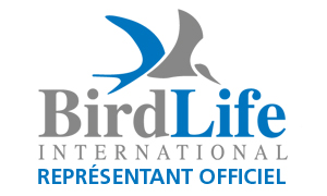 1995 BirdLife