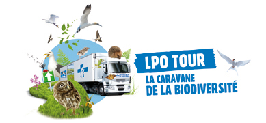 Logo LPO-TOUR 3001