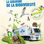 thumb affiche-birdfair800