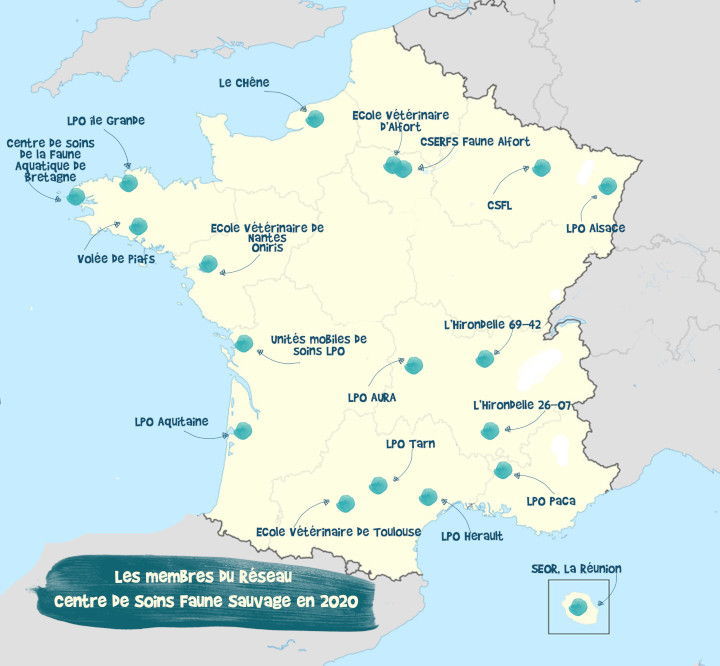 carte membres 720