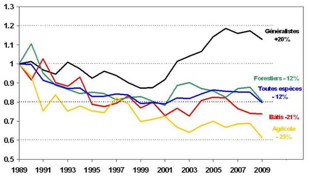 Évolution des populations