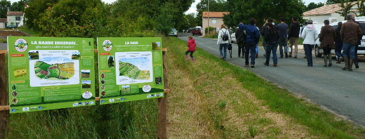 Exemple de chantier nature (plantation de haies) et de sensibilisation - Crédit photo : Sophie Raspail