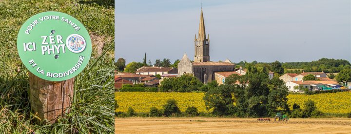 Objectif zéro phyto, en ville comme en campagne - Crédit photo : Alexis Orseau