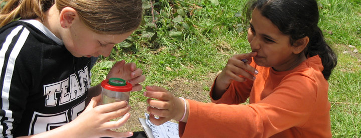 Crédit photo : Agnès Cailleaux