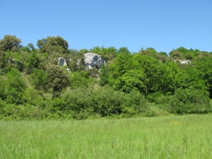 Vallée des Eaux Claires - crédit photo : Charente Nature 