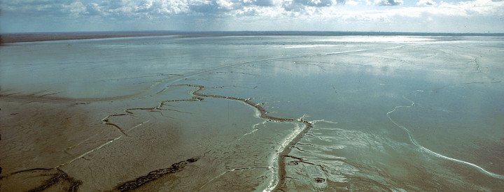 Réserve Naturelle Nationale de la Baie de l'Aiguillon - Crédit photo : P. Garguil