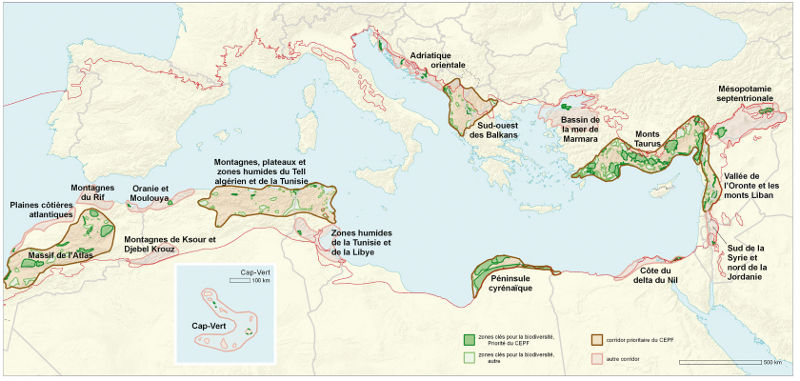 Carte CEPF/MED