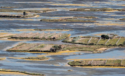 Golfe occidental de Tunis, une des zones clés pour la biodiversité du hotspot bassin méditerranéen - Crédit photo : Awatef Abiadh