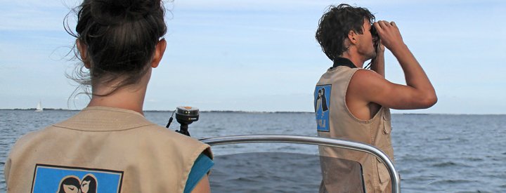 Observation de la frequentation aviaire sur les bouchots de Boyardvillle - Crédit photo : Elsa Hellegouarch 