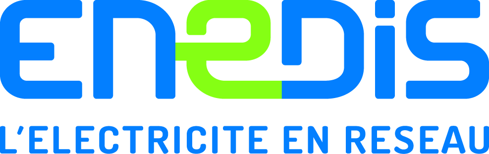 enedis logo signature couleur cmjn 300dpi