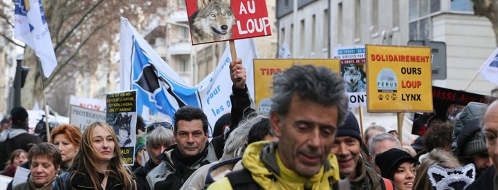 Manifestation en faveur du loup, Lyon, janvier 2016 - Crédit photo : Yves Thonnérieux / Association Natur’Ailes