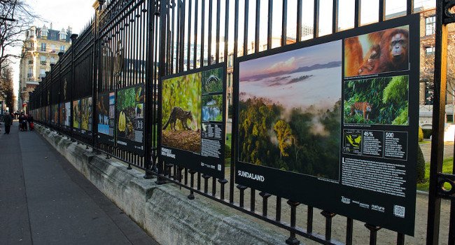 L’exposition « Les 34 merveilles du monde » - Crédit photo : Fabien Chenel / L'agence Nature