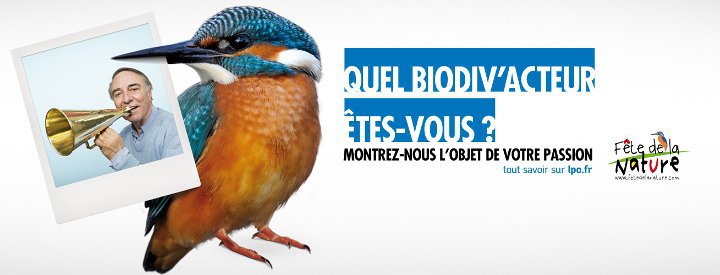 Grand jeu « Quel Biodiv’acteur êtes-vous ? » - Crédit photo : CSUPER