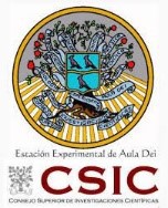 csic