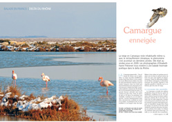 OM101BaladeCamargue