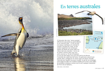 Reportage en terres australes