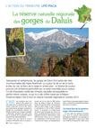 Action du trimestre en PACA : les gorges de Daluis