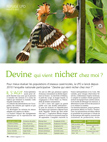 Refuge : devine qui vient nicher chez moi ?