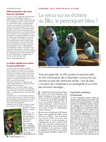 Evénement : rio 2, sortie en salle le 9 avril. Le retour sur les écrans de Blu, le perroquet bleu !