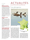 OM114 Actualités Atlas :les plongeons