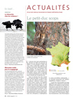 OM115 Actualités Atlas : les petit-duc scops