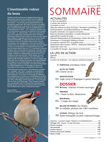 Sommaire de L'Oiseau Magazine n°117