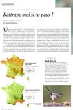 OM120 Actualités Atlas : fauvette mélanocéphale et bouvreuil pivoine