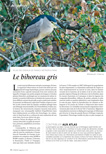 OM122 Actualités Atlas : le bihoreau gris